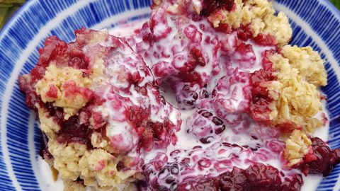 Blackberry Crumble