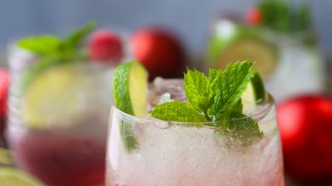 Cranberry Mojito