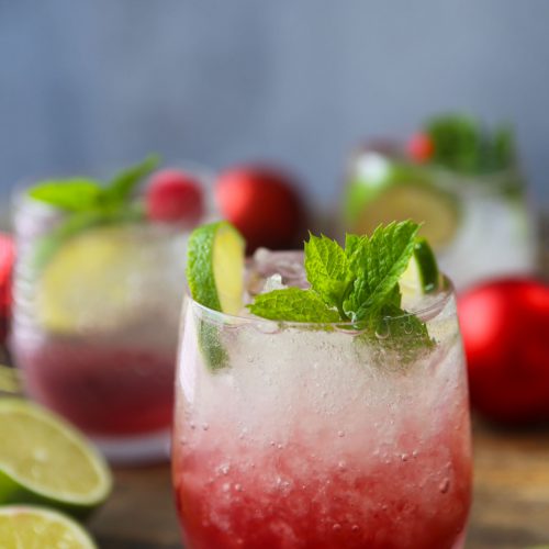 Cranberry Mojito
