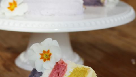 Vegan Easter Rainbow Cake