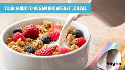 Vegan breakfast cereal blog banner